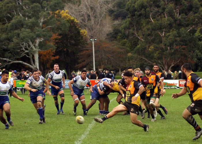 Busy home stretch coming up for Swindale Shield teams